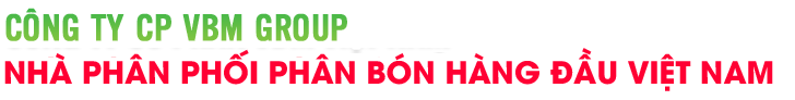 Công ty CP VBM Group Công ty CP VBM Group